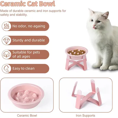 KPYTE Gamelles anti-ingestion pour chats et chiens