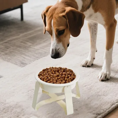 KPYTE Gamelles anti-ingestion pour chats et chiens