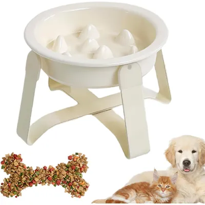 KPYTE Gamelles anti-ingestion pour chats et chiens