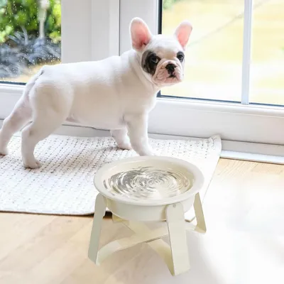 KPYTE Gamelles anti-ingestion pour chats et chiens