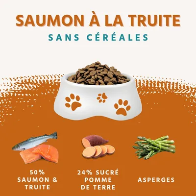 Wildfang Gourmet Box Adulte - Aliments secs et humides - Pur poulet