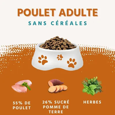 Wildfang Gourmet Box Adulte - Aliments secs et humides - Pur poulet