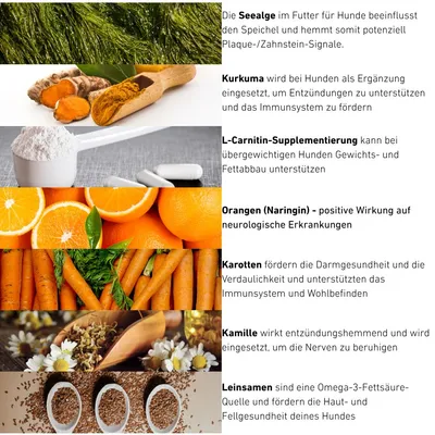 Wildfang Croquettes VetLine aux peptides de dinde