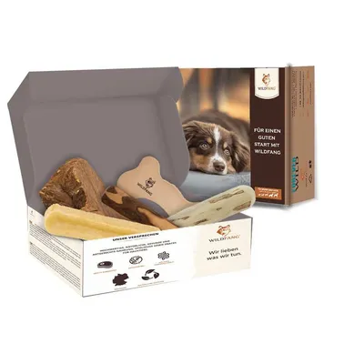 Wildfang Pack Kauspaß – 5 jouets à mâcher pour chien