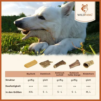 Wildfang — Demi-bois de cerf à mâcher, 100 % naturel Wildfang — Demi-bois de cerf à mâcher, 100 % naturel