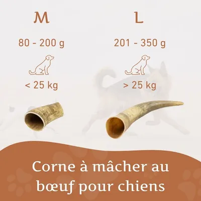 Corne de bœuf Wildfang pour chien