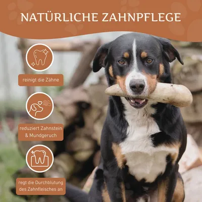Corne de bœuf Wildfang pour chien Corne de bœuf Wildfang pour chien