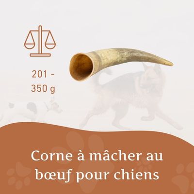 Corne de bœuf Wildfang pour chien