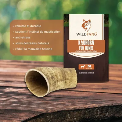 Corne de bœuf Wildfang pour chien