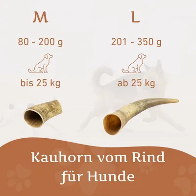 Wildfang Kauhorn vom Rind