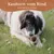 Wildfang Kauhorn vom Rind