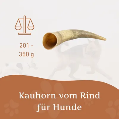 Wildfang Kauhorn vom Rind