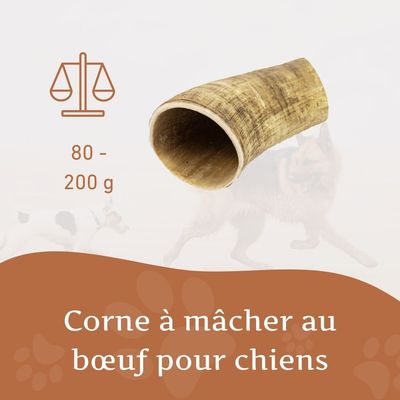 Corne de bœuf Wildfang pour chien