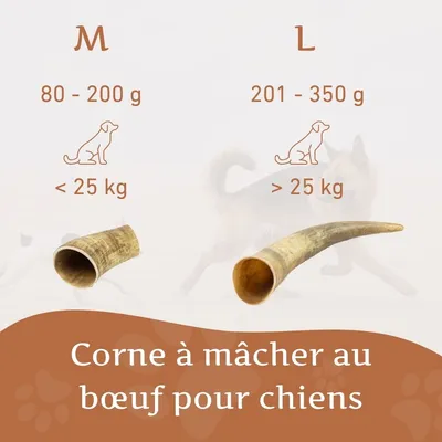 Corne de bœuf Wildfang pour chien