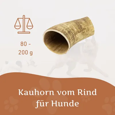 Corne de bœuf Wildfang pour chien