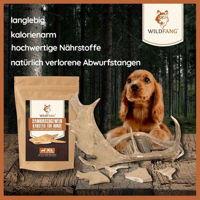 Wildfang Bâtonnet à mâcher en bois de daim
