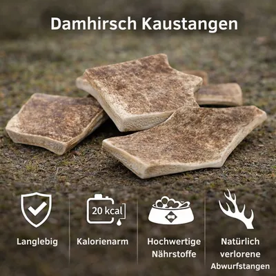 Wildfang Kaustange vom Damhirsch Wildfang Kaustange vom Damhirsch