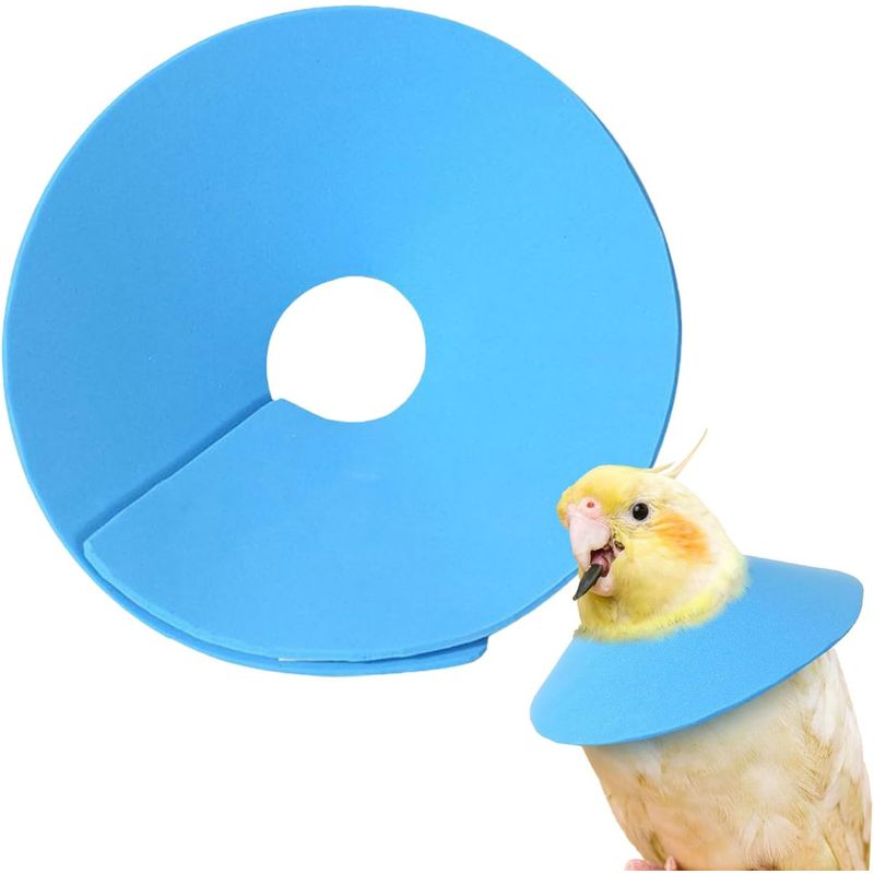 Collier de protection pour oiseaux