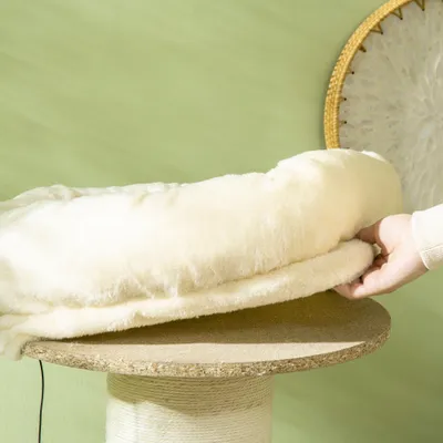 Arbre à chat griffoir sisal naturel 2 plateforme