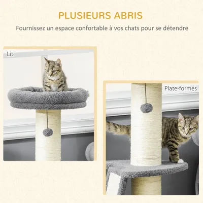 Arbre à chat avec griffoir tronc en sisal boules suspendues et plate