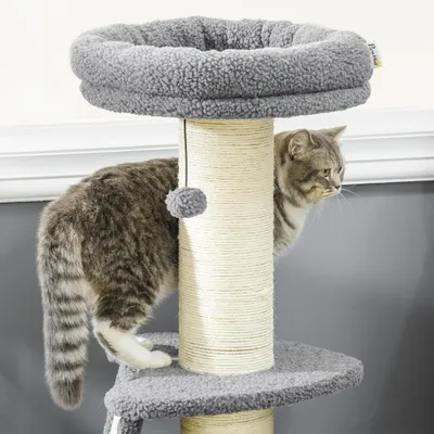 Arbre à chat avec griffoir tronc en sisal boules suspendues et plate