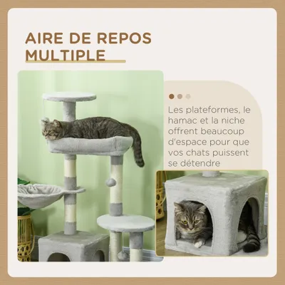 Arbre à chat hauteur centre d'activités multi-niveaux colonnes