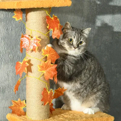 Arbre à chat hauteur réglable avec feuilles décoratif