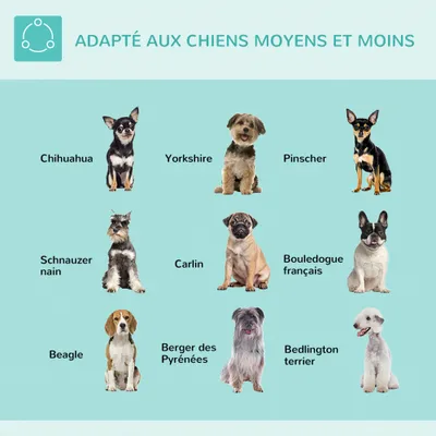 Bras de toilettage pliable pour animaux de compagnie en acier inoxydable