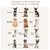 Cage pour chien animaux 2 en 1 table d'appoint meuble cage chien Cage pour chien animaux 2 en 1 table d'appoint meuble cage chien