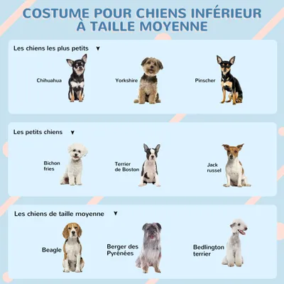 Niche d'extérieur en PP blanc pour chiens de petite et moyenne taille Niche d'extérieur en PP blanc pour chiens de petite et moyenne taille