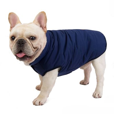 Veste pour chat, Manteau d'hiver(bleu)