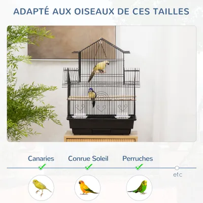 Cage à oiseaux design maison mangeoires perchoirs