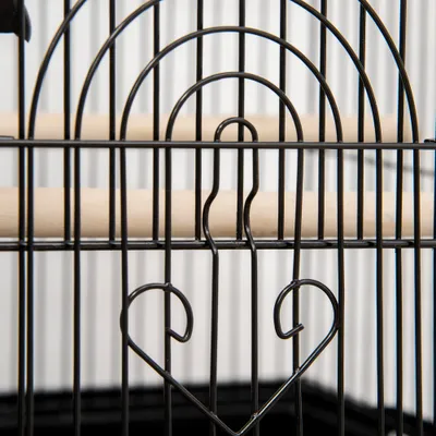 Cage à oiseaux design maison mangeoires perchoirs