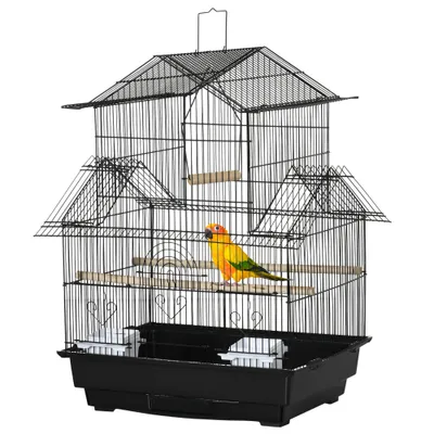 Cage à oiseaux design maison mangeoires perchoirs