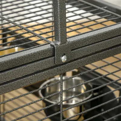 Cage de transport en acier pour perroquets