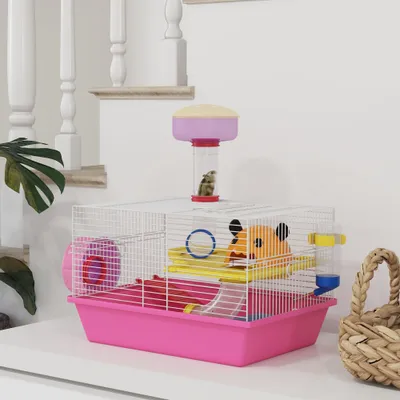 Cage à hamster rat rongeur multicolore avec plateforme