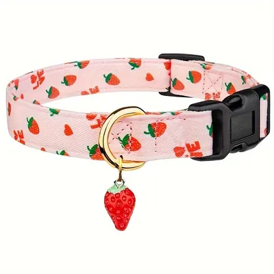 Collier pour chien à motif de fruits (fraise)