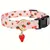 Collier pour chien à motif de fruits (fraise) Collier pour chien à motif de fruits (fraise)