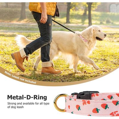 Collier pour chien à motif de fruits (fraise)