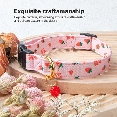 Collier pour chien à motif de fruits (fraise)