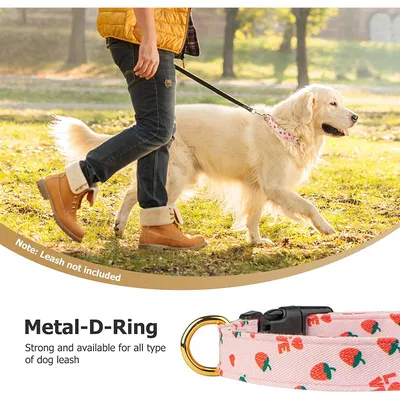Collier pour chien à motif de fruits (fraise)