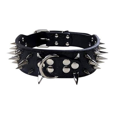Collier pour chien, À pointes acérées