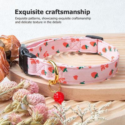 Collier pour chien à motif de fruits (fraise)