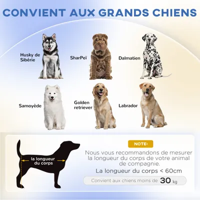 Canapé pour chien grand lit surélevé pour chien
