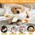 Grand jouet en peluche pour chien, canard blanc