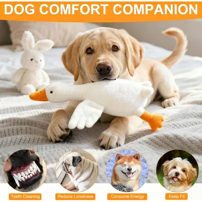 Grand jouet en peluche pour chien, canard blanc