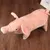 Peluche Cochon Jouet pour chien