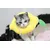 Collier pour chat à motif citron