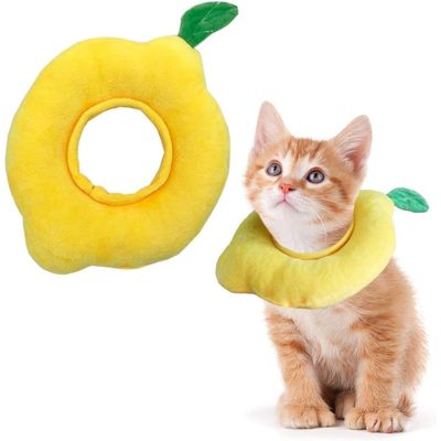 Collier pour chat à motif citron