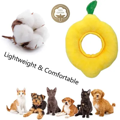 Collier pour chat à motif citron